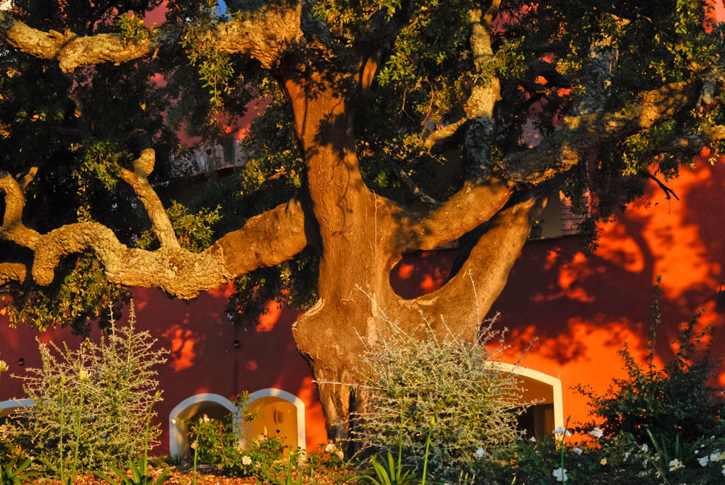 Giardino Dei Sugheri Scarlino Ngoại thất bức ảnh